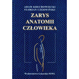 Zarys anatomii człowieka