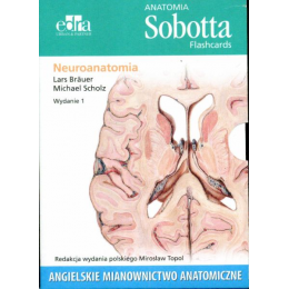 Anatomia Sobotta Flashcards...