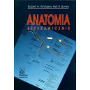 Anatomia błyskawicznie