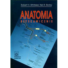 Anatomia błyskawicznie