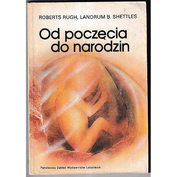 Od poczęcia do narodzin