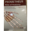 General Anatomy and Musculoskeletar System