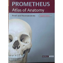 Head and Neuroanatomy Atlas of Anatomy